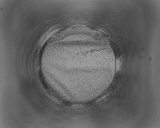 X0000067850291200604271652