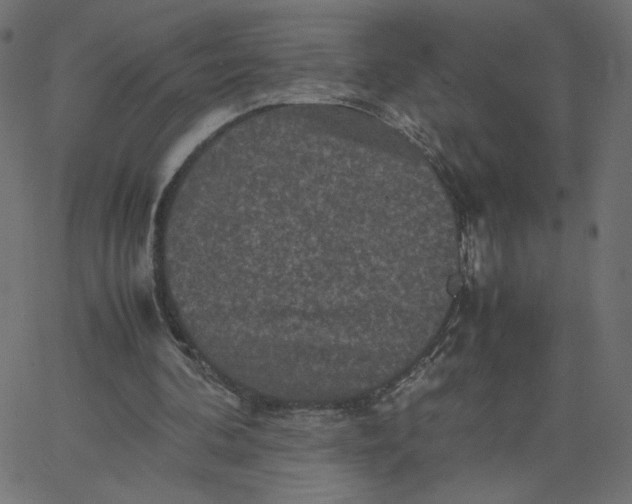 X0000067850292200604271652