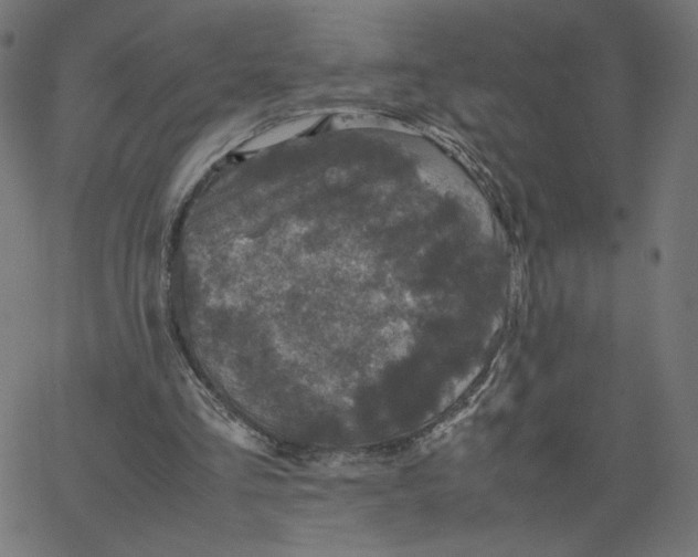 X0000067850293200604271652