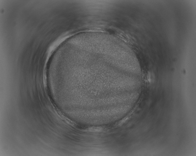 X0000067850294200604271652