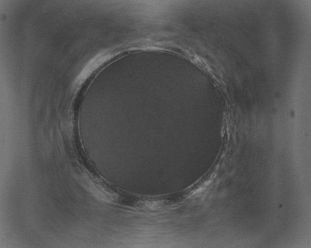 X0000067850295200604271652