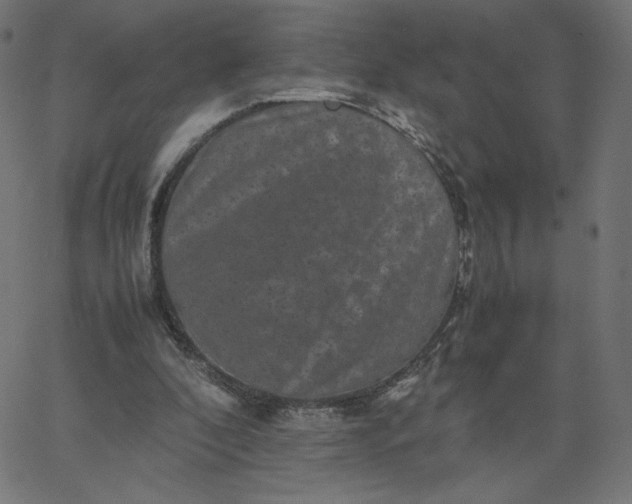 X0000067850296200604271652