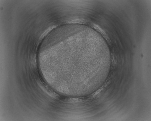 X0000067850298200604271652