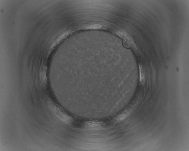 X0000067850300200604271652