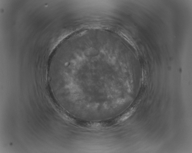 X0000067850301200604271652