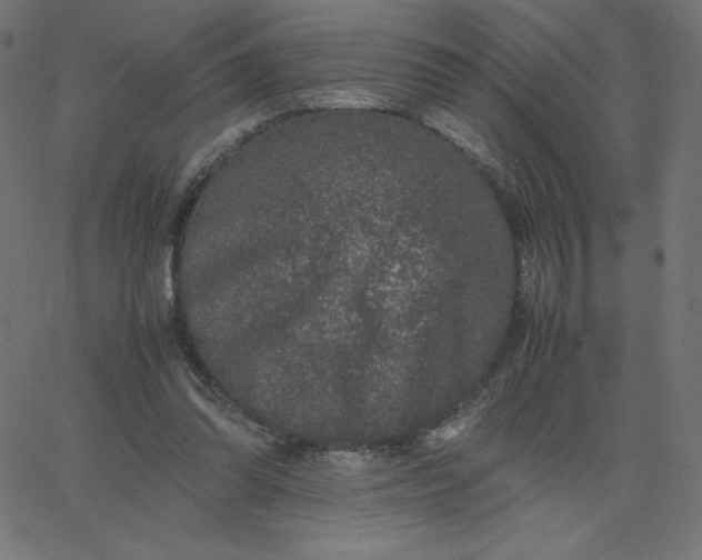 X0000067850302200604271652