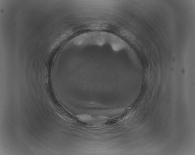 X0000067850303200604271652