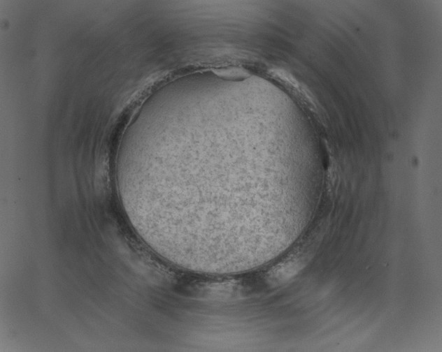 X0000067850306200604271652