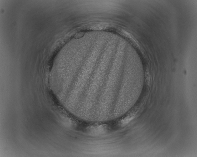 X0000067850307200604271652