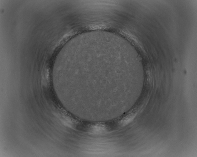 X0000067850308200604271652