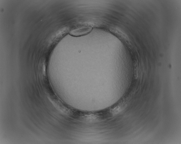 X0000067850310200604271652