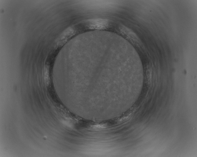 X0000067850312200604271652