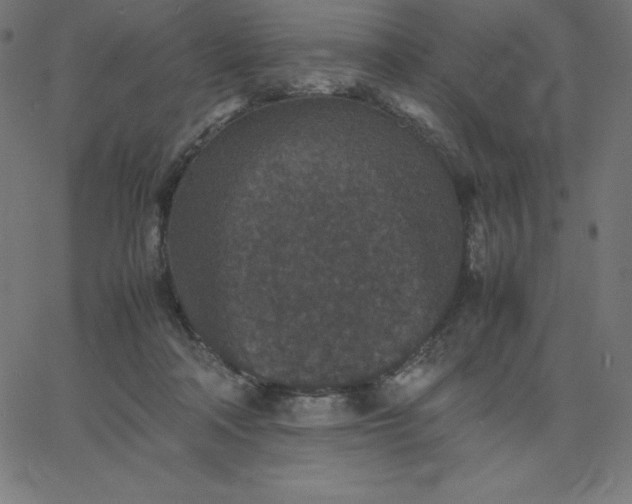 X0000067850314200604271652