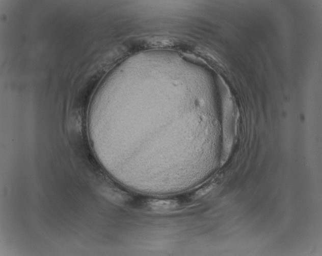 X0000067850315200604271652