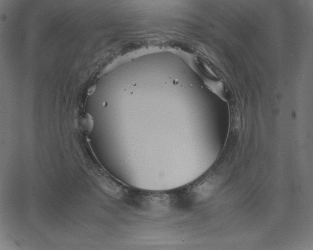 X0000067850317200604271651