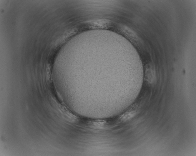 X0000067850318200604271651