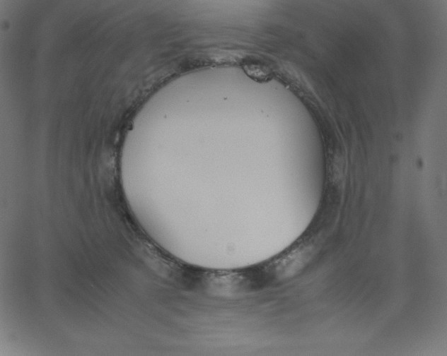 X0000067850321200604271651