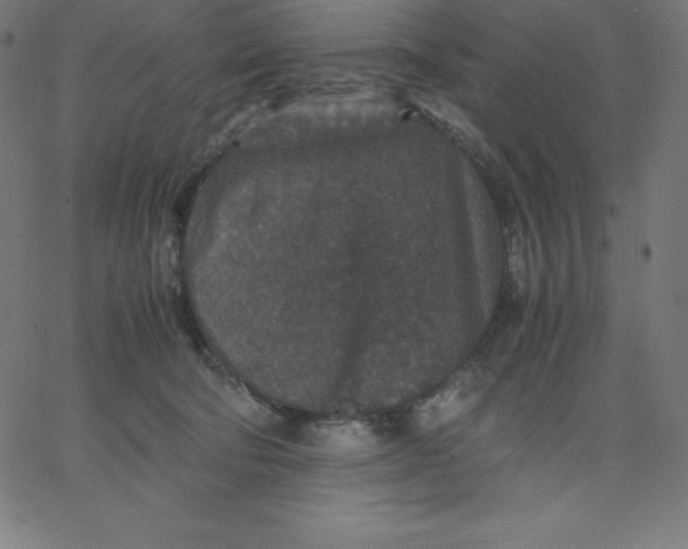 X0000067850322200604271651