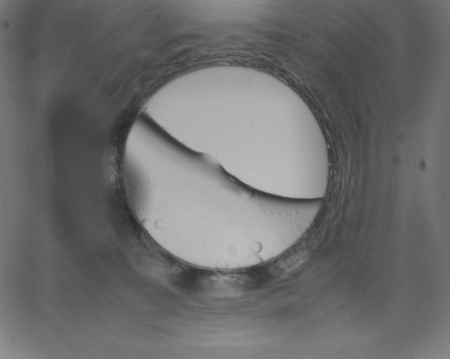 X0000067850323200604271651