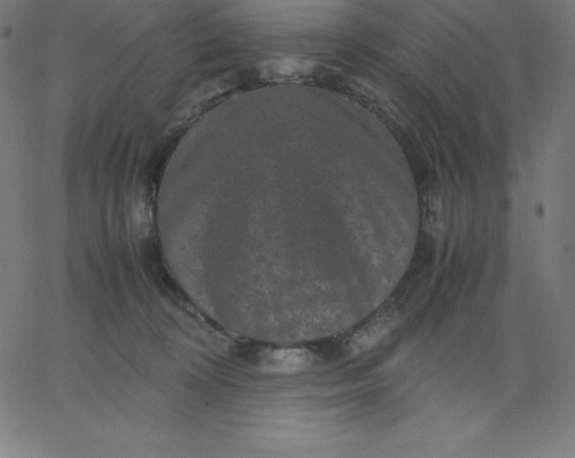 X0000067850324200604271651