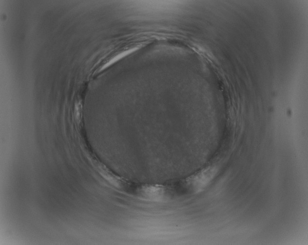 X0000067850325200604271651