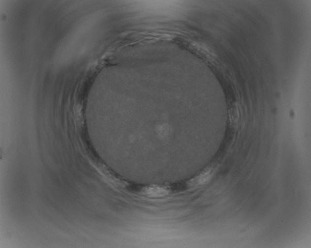 X0000067850327200604271651