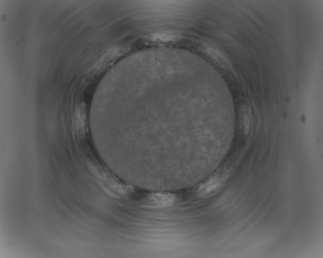 X0000067850328200604271651