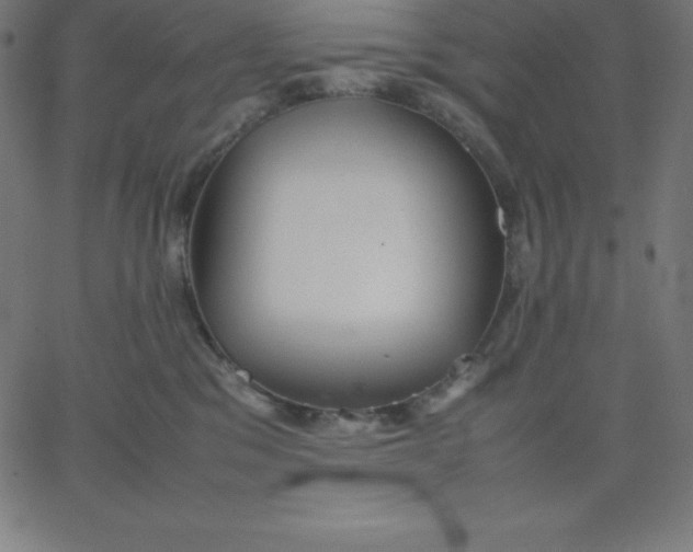 X0000067850329200604271651