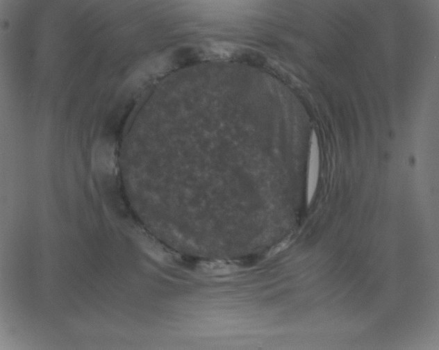 X0000067850331200604271651