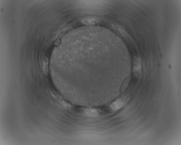 X0000067850332200604271651