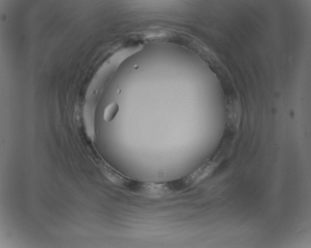 X0000067850333200604271651