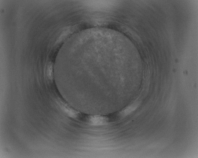 X0000067850336200604271651