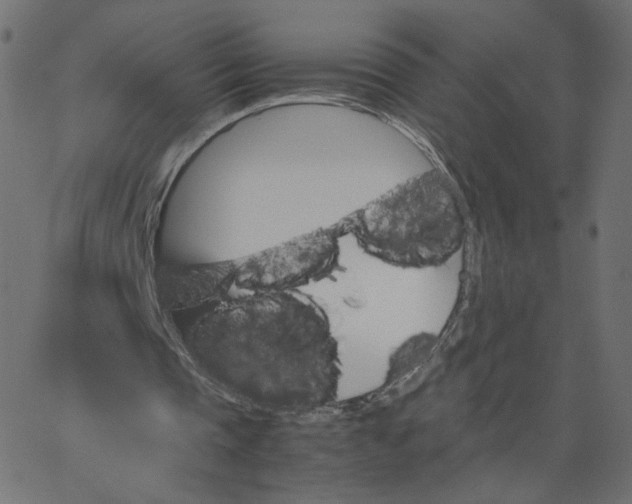 X0000067850337200604271650