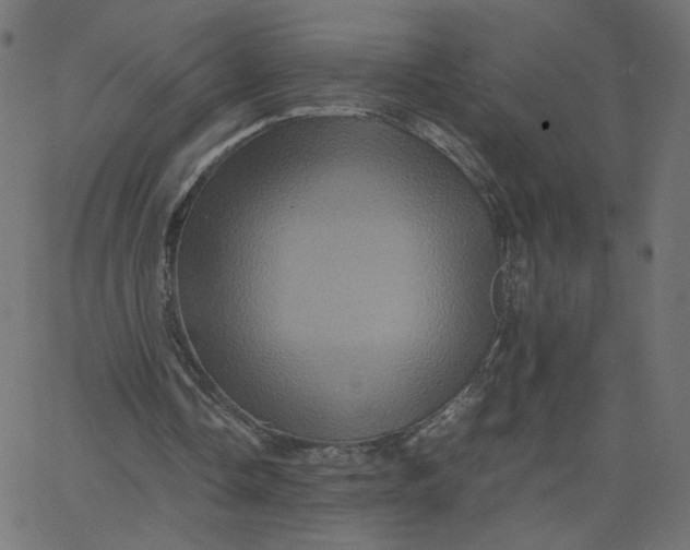 X0000067850338200604271650