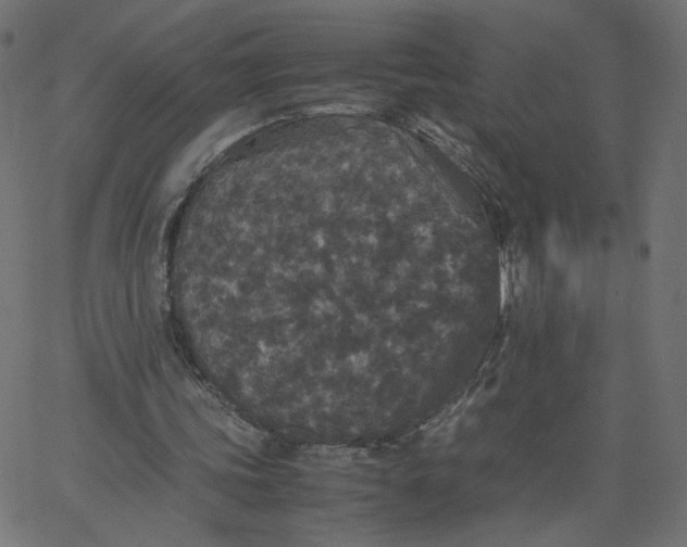 X0000067850339200604271650