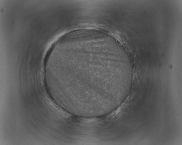 X0000067850342200604271650