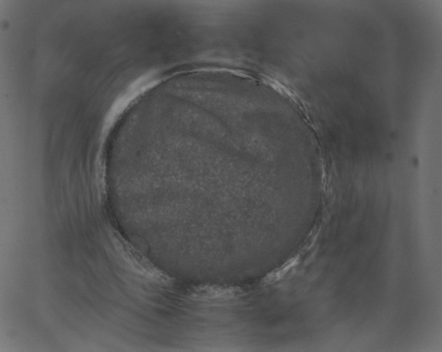 X0000067850343200604271650