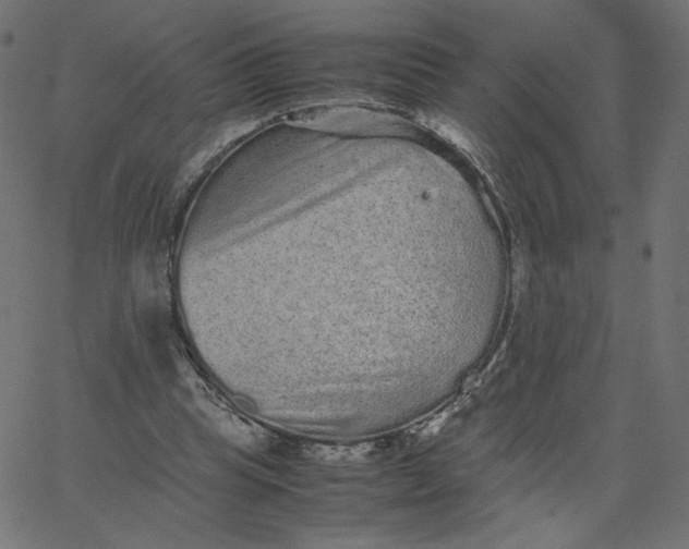 X0000067850345200604271651