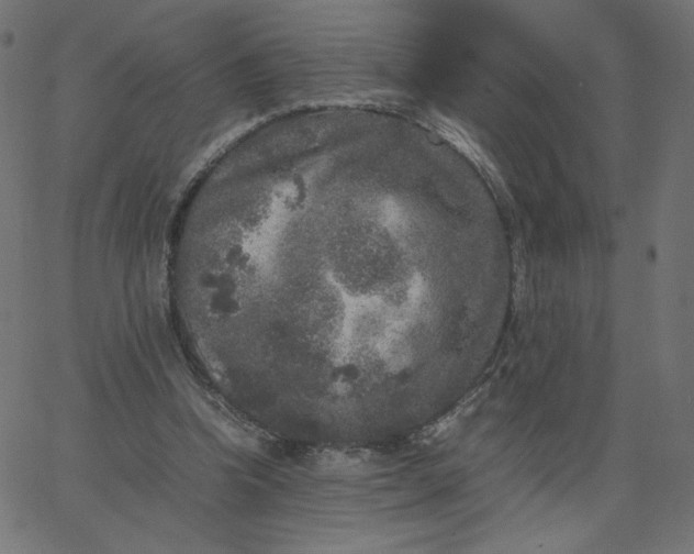 X0000067850346200604271651