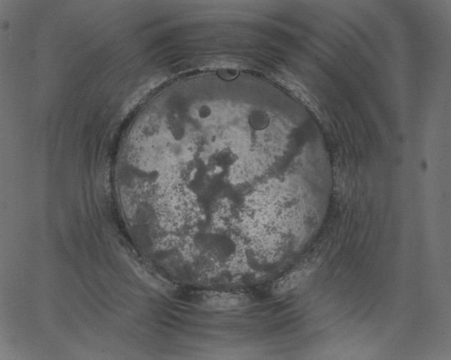 X0000067850347200604271651