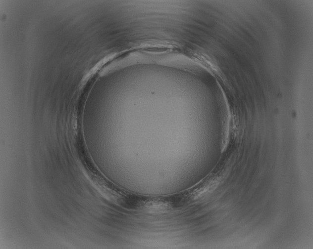 X0000067850348200604271651