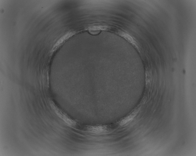 X0000067850349200604271651