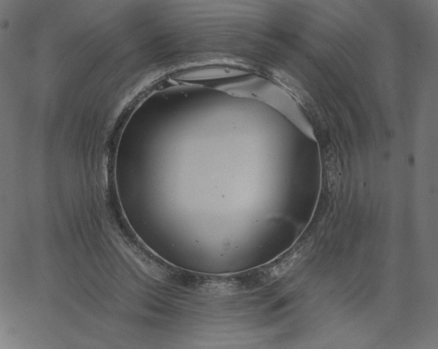 X0000067850350200604271651