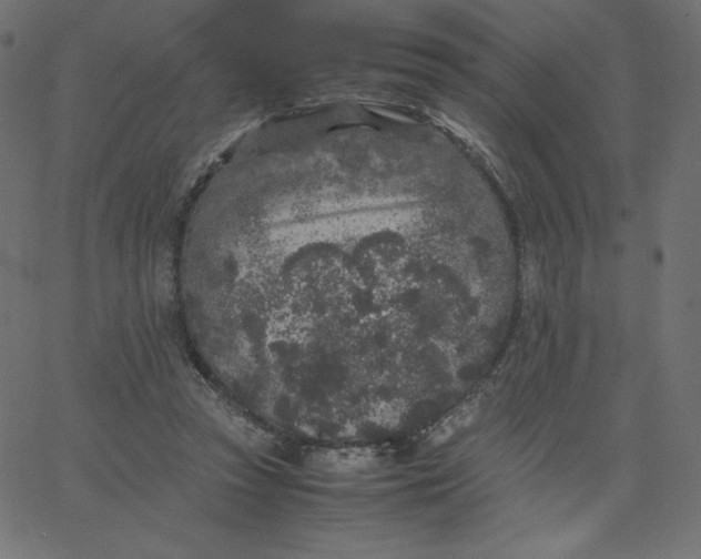 X0000067850353200604271651