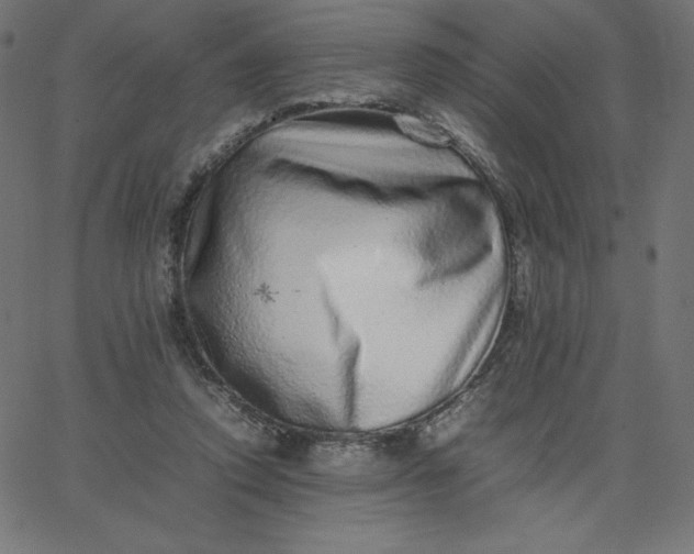 X0000067850354200604271651