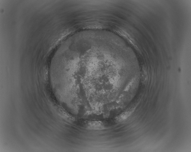 X0000067850355200604271651