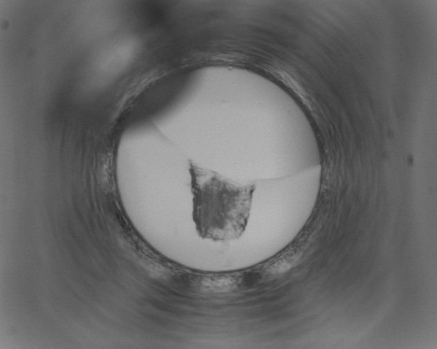 X0000067850357200604271651