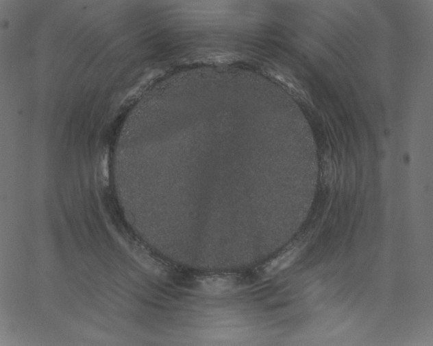 X0000067850358200604271651