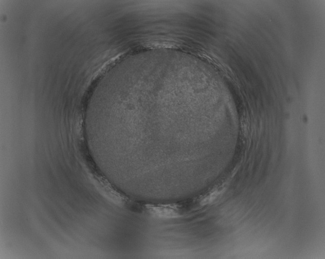 X0000067850359200604271651