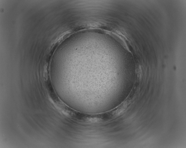 X0000067850360200604271651